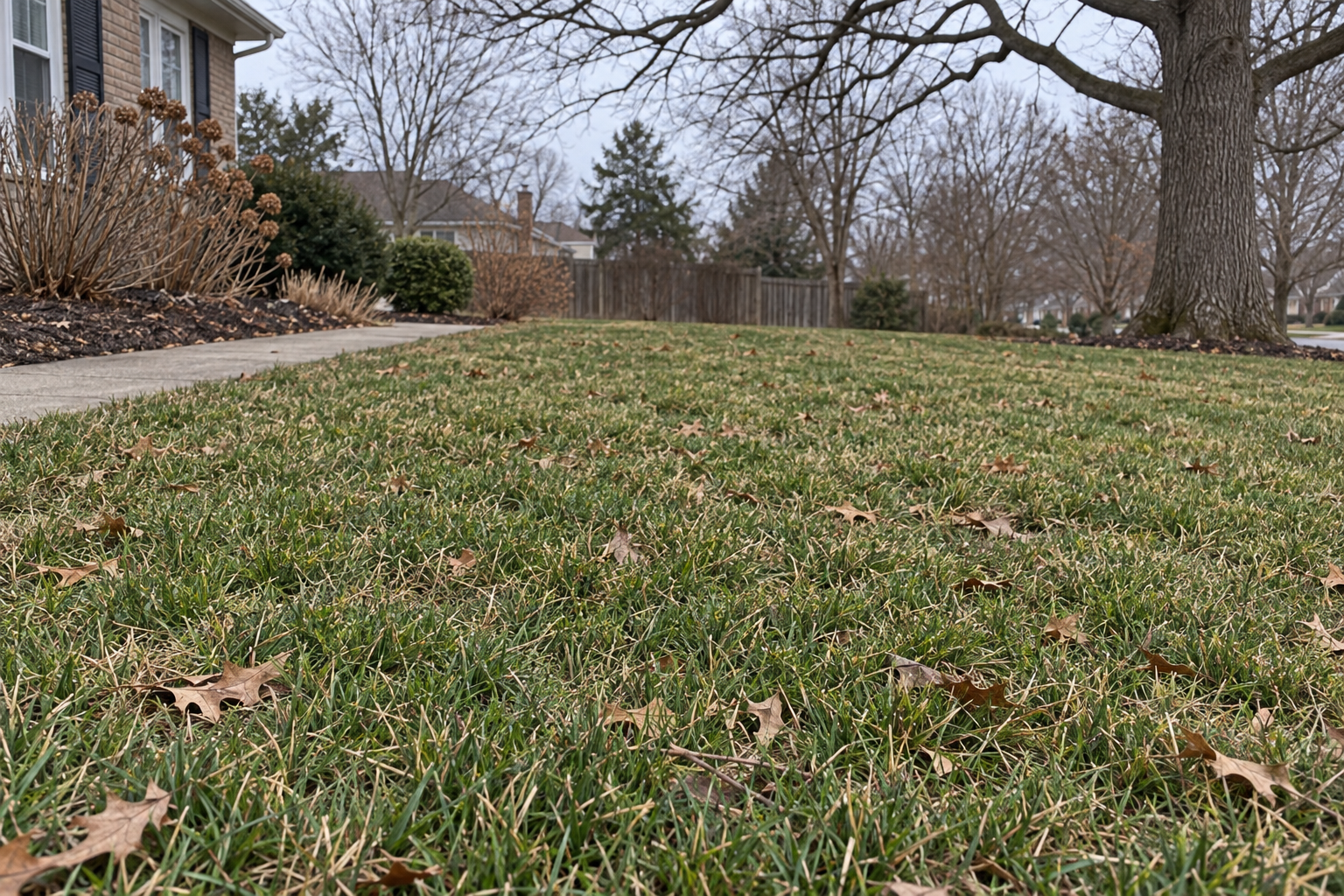 seasonal lawn care calendar
